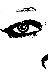 Detalle de la foto procesada