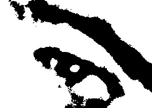 Detalle de la foto procesada