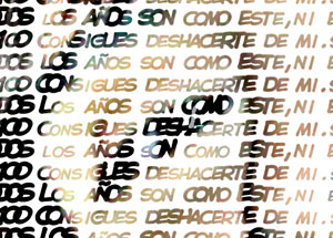 Detalle de la foto procesada