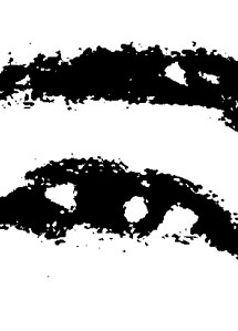 Detalle de la foto procesada