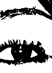 Detalle de la foto procesada