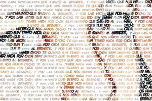 Detalle de la foto procesada