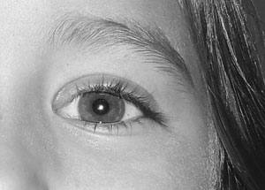 Detalle de la foto procesada