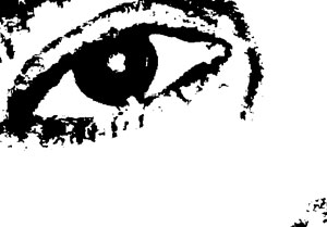 Detalle de la foto procesada