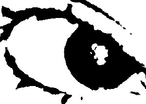 Detalle de la foto procesada