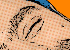 Detalle de la foto procesada