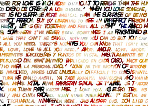 Detalle de la foto procesada