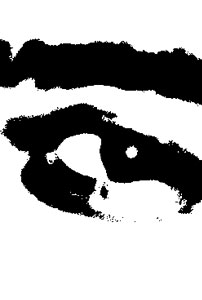 Detalle de la foto procesada