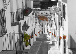 Regalo: Un Coloreado Impreso en un lienzo con un bastidor para alguien de Sant Cugat del Valles