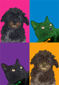 Regalo: Un  Impreso en un lienzo con un bastidor para alguien de zumarraga