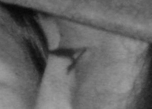 Detalle de la foto procesada