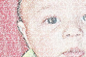 Detalle de la foto procesada