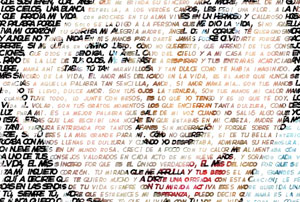 Detalle de la foto procesada