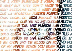 Detalle de la foto procesada