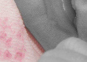 Detalle de la foto procesada