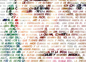 Detalle de la foto procesada