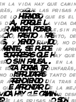 Detalle de la foto procesada